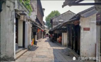 动物帮帮忙保卫家园